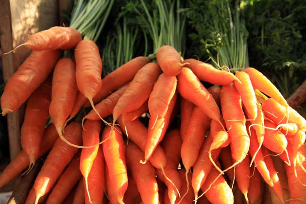 carrots-farmers-market